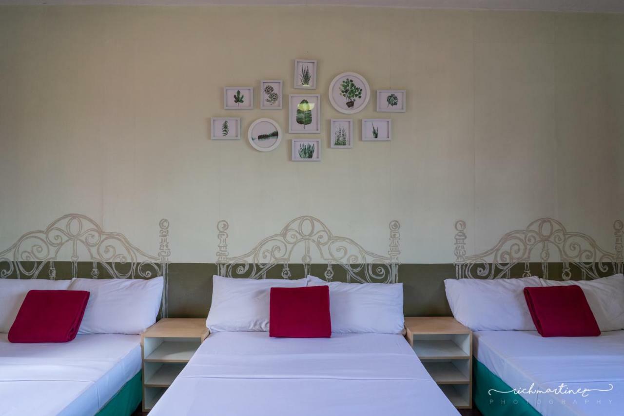 Old Orangewood Bed & Breakfast Baguio City Eksteriør billede