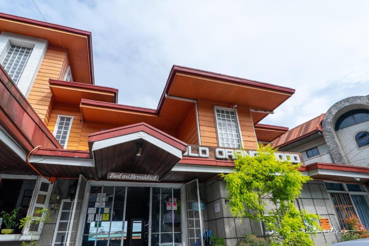 Old Orangewood Bed & Breakfast Baguio City Eksteriør billede